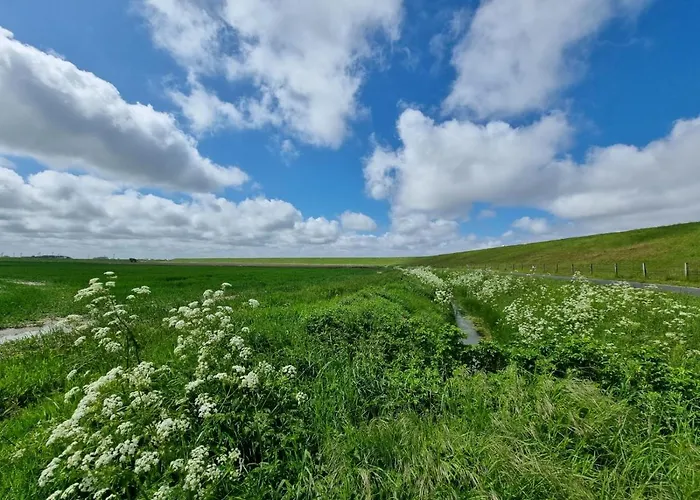 Backbord Im Bootshaus * Neßmersiel