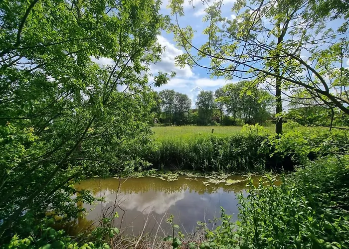 Backbord Im Bootshaus * Neßmersiel